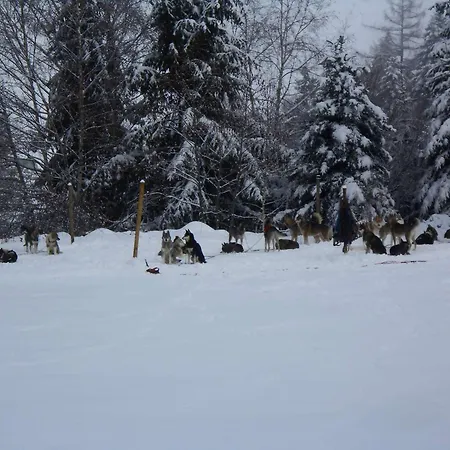 公寓 Cosy 2 Pers Avec Terrasse, - Proche Thermes Et Ski, Navette Gratuite - Fr-1-403-102 *